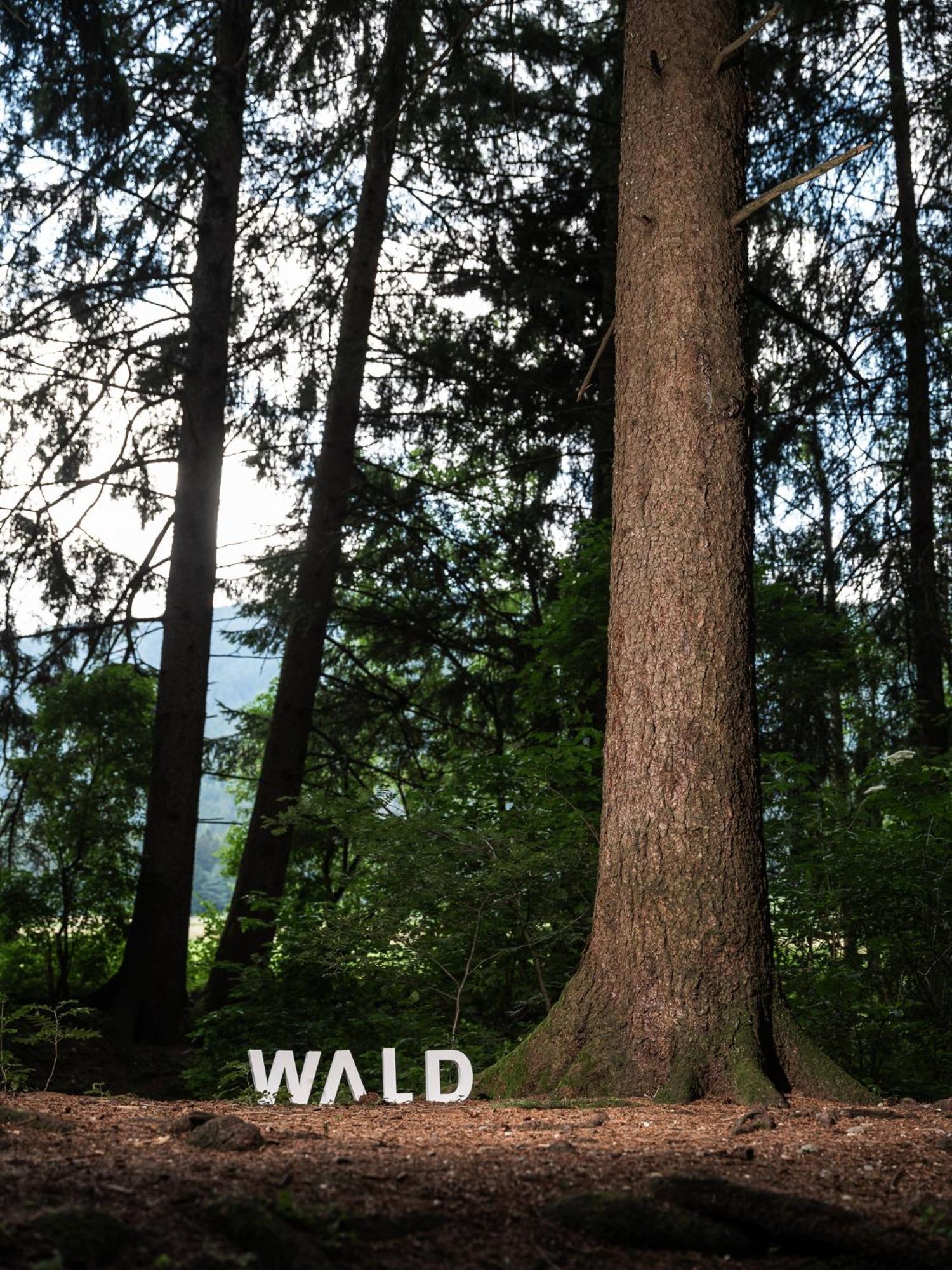Hotel Frida Am Wald Rasùn di Sotto Exterior foto
